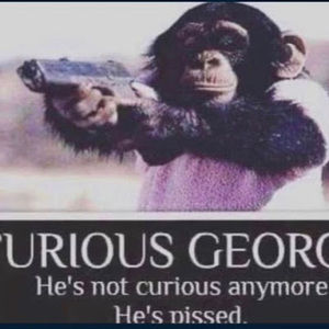 Meet your Posher, Cooper